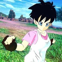 Videl